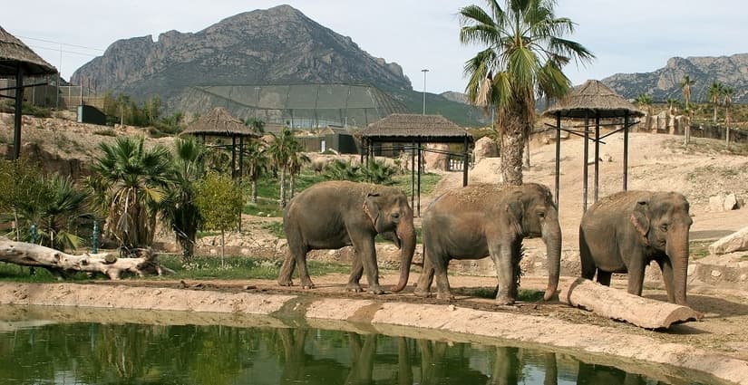 Place Terra Natura Benidorm