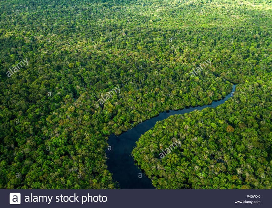 Place Amazonia