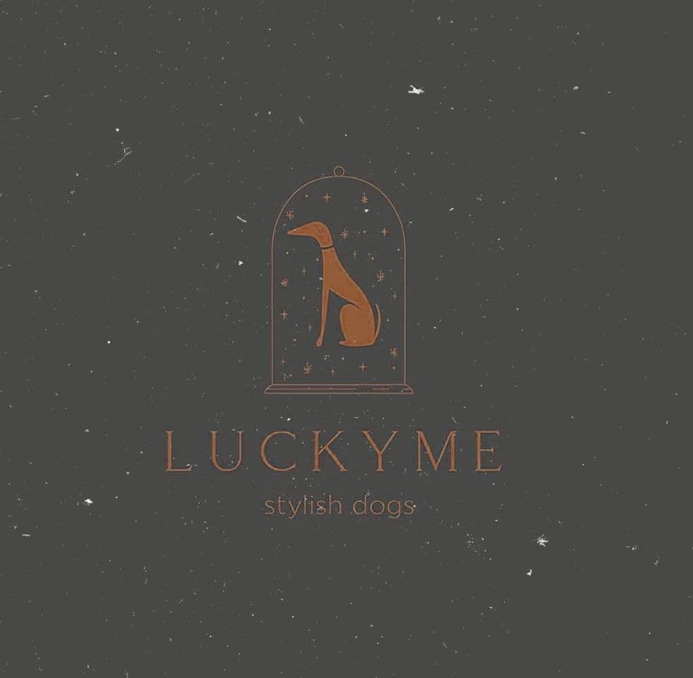 Fashion Luckyme_dog