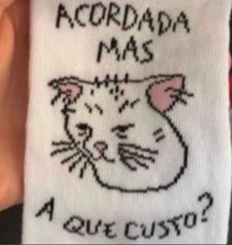 Producto 🐈 