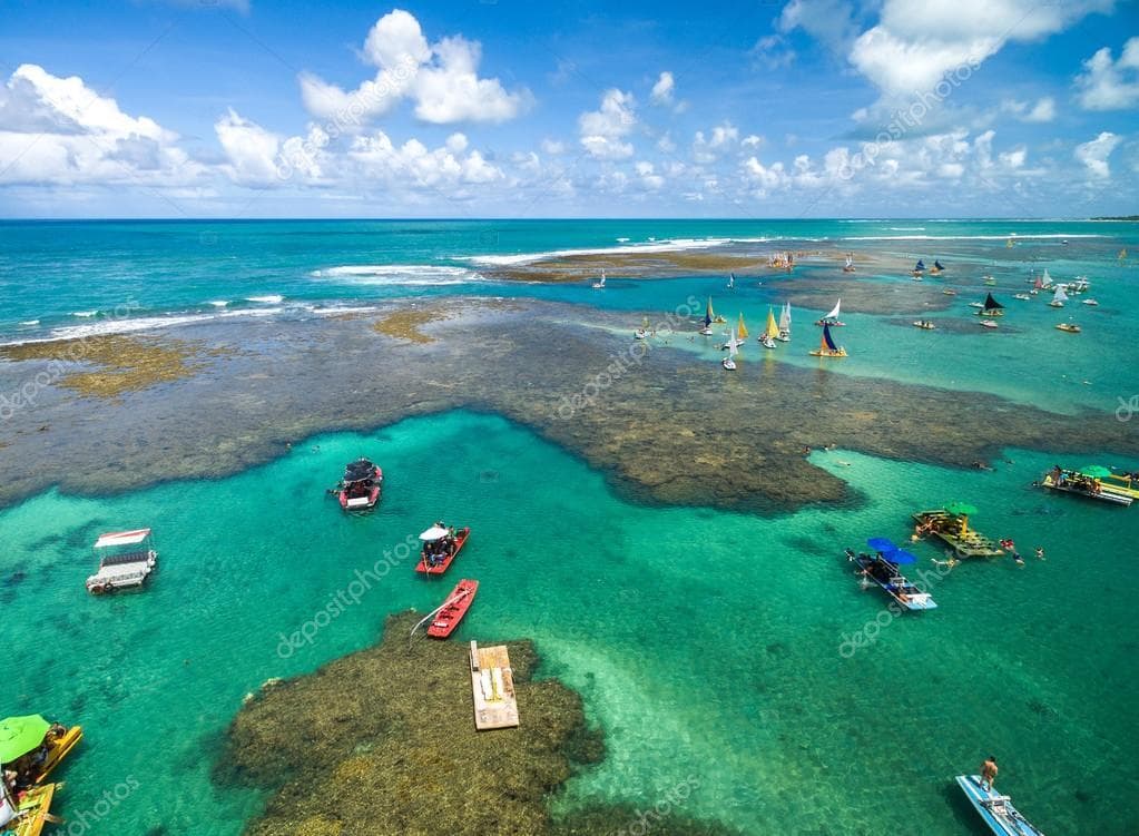 Place Porto de Galinhas