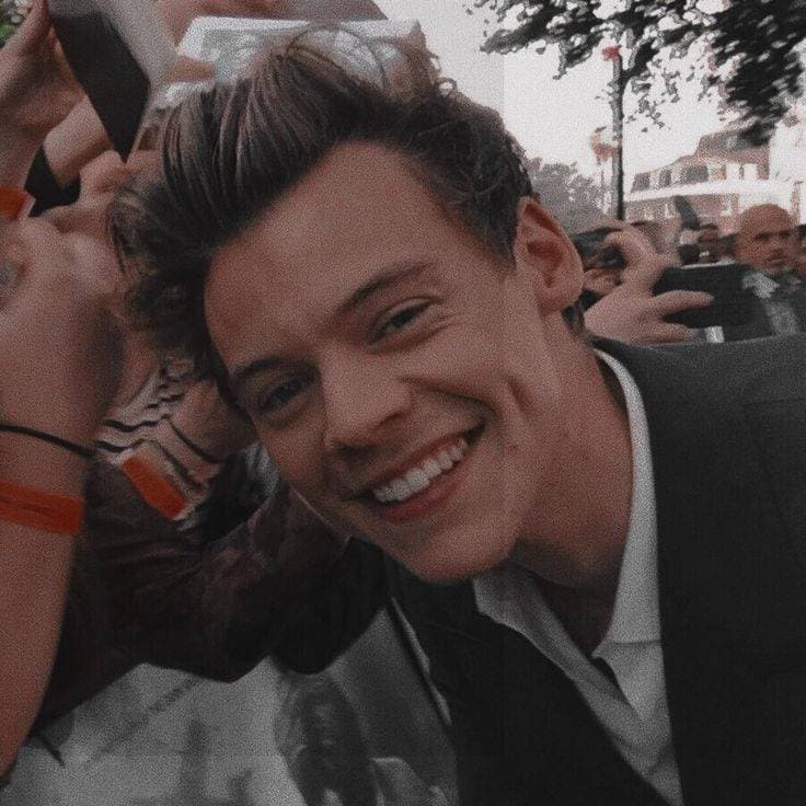 Moda harry styles icon