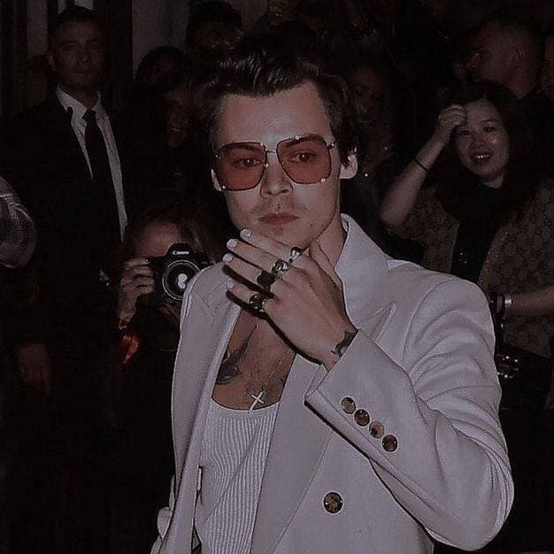 Moda harry styles icon 