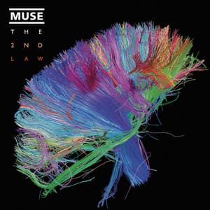 Music Muse - The 2nd Law