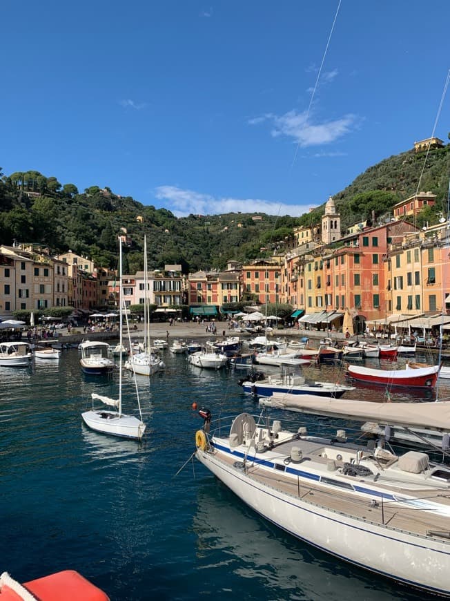 Place Portofino