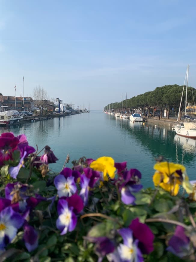 Place Lago di Garda