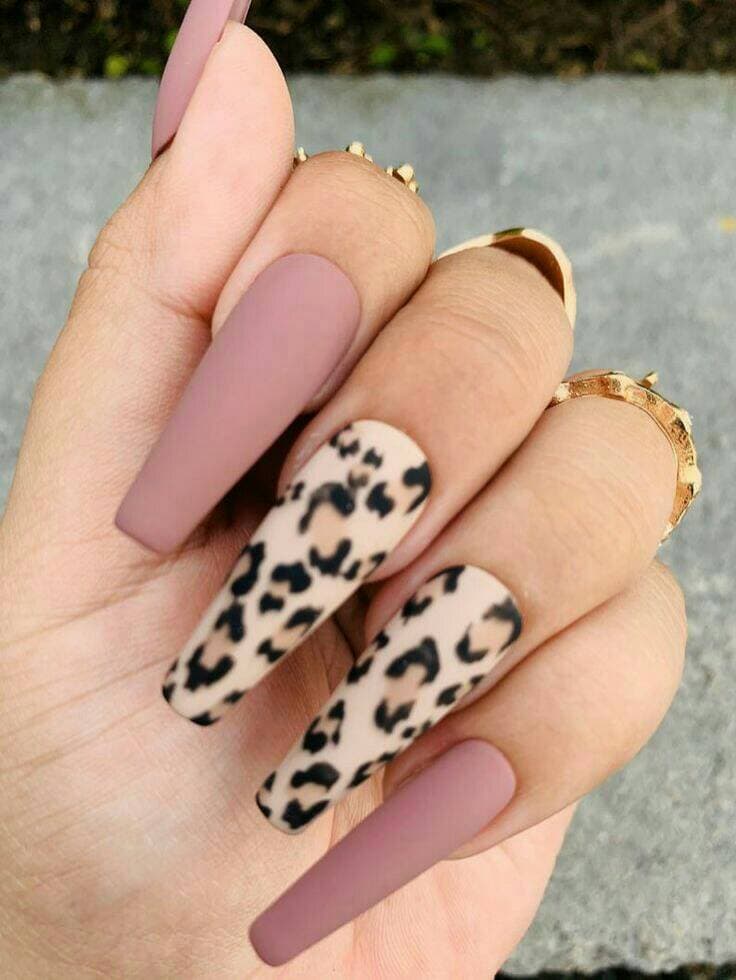 Fashion 🐆