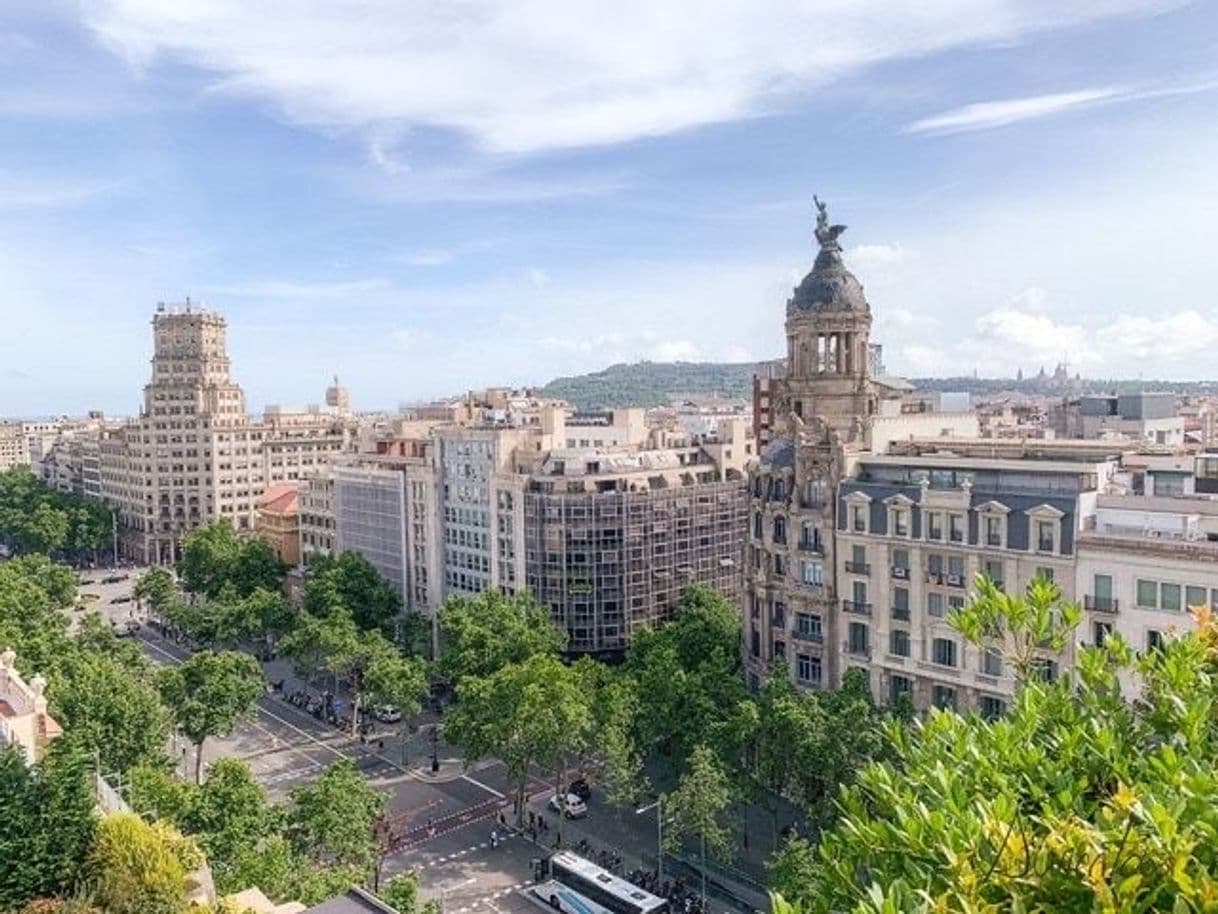 Place Paseo de Gracia