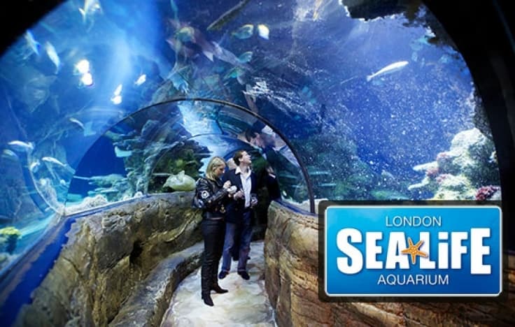 Lugar SEA LIFE Centre London Aquarium