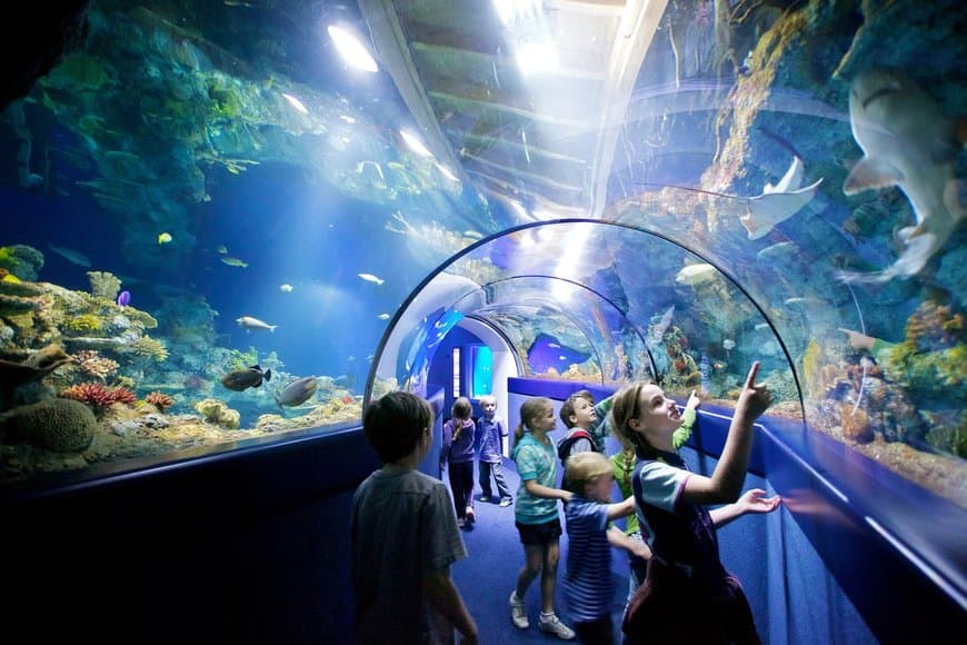 Lugar Bristol Aquarium