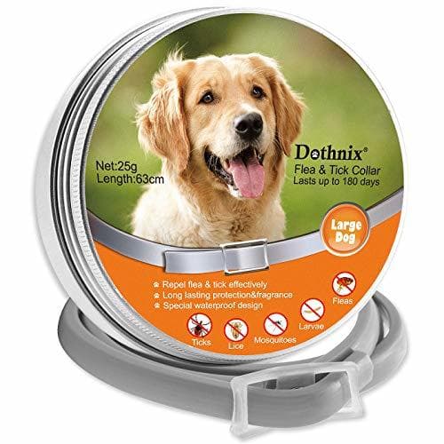 Lugar dothnix Collares Antipulgas Aantiparasitos para Perros y Gatos contra Pulgas