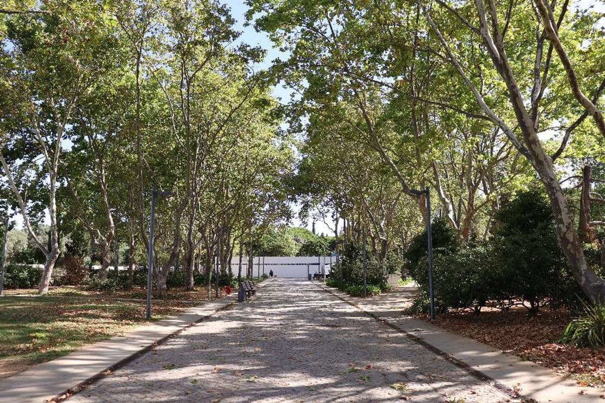 Lugar Parque Municipal de Loulé