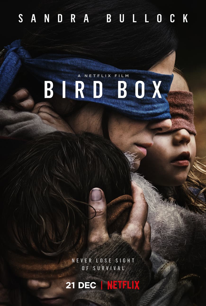 Película Bird Box