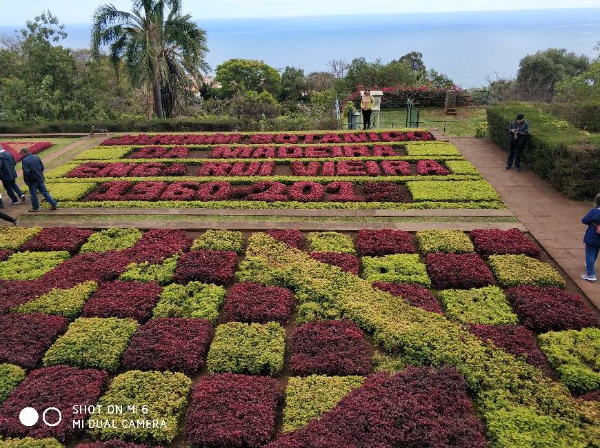 Place Madeira