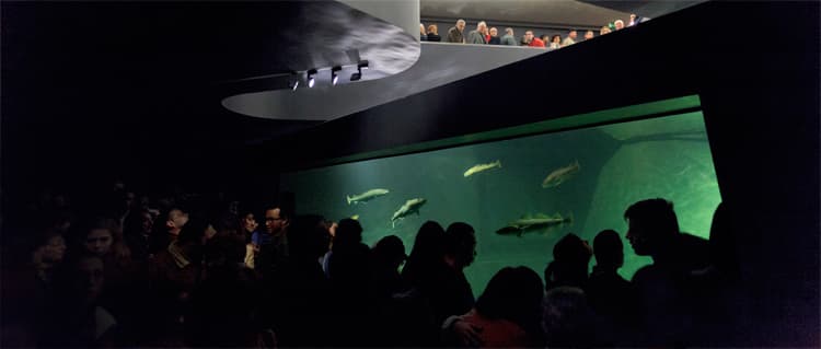 Place Museu Marítimo de Ílhavo e Aquário dos Bacalhaus