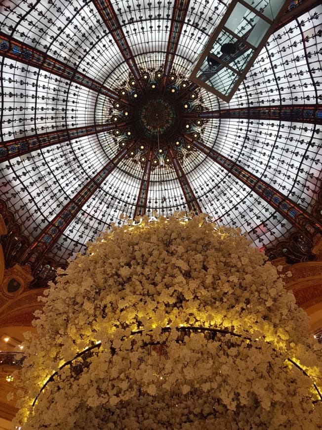 Place Galerie lafayette