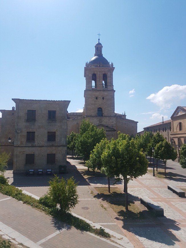 Place Plaza de Herrasti