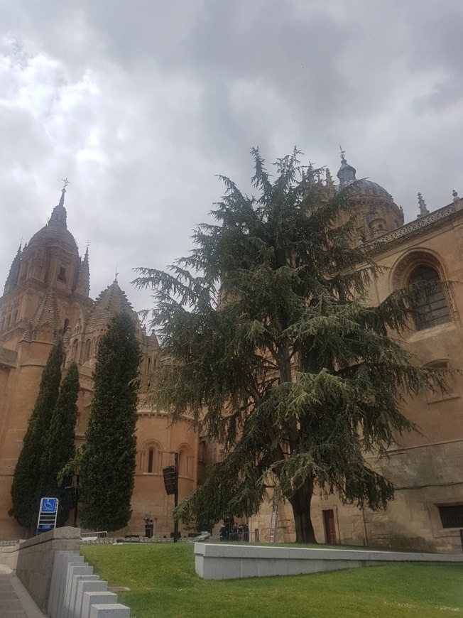 Place Catedral de Salamanca