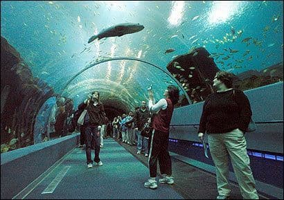 Place New England Aquarium