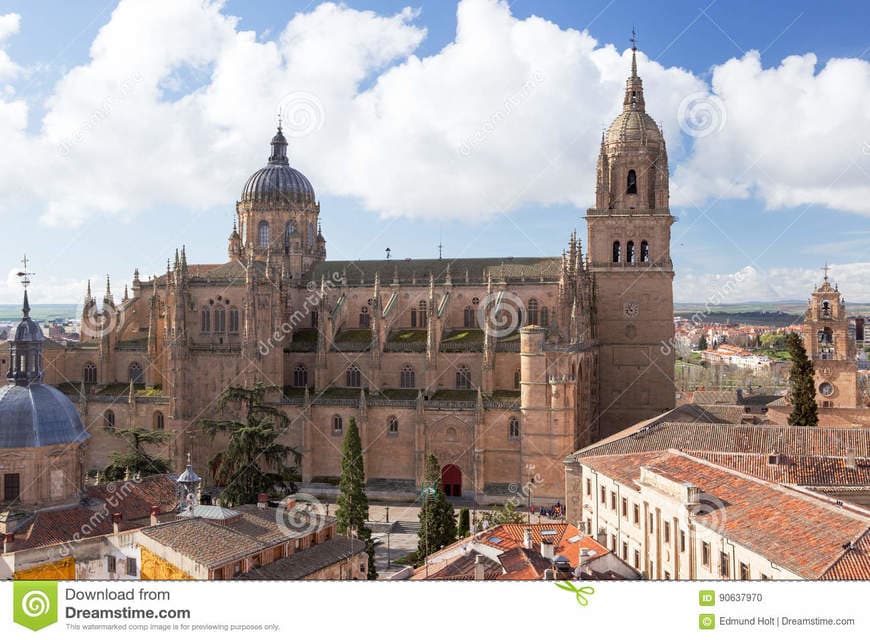 Lugar Catedral de Salamanca