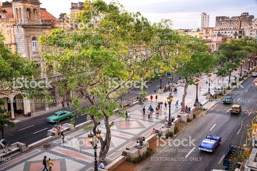 Lugar Paseo del Prado