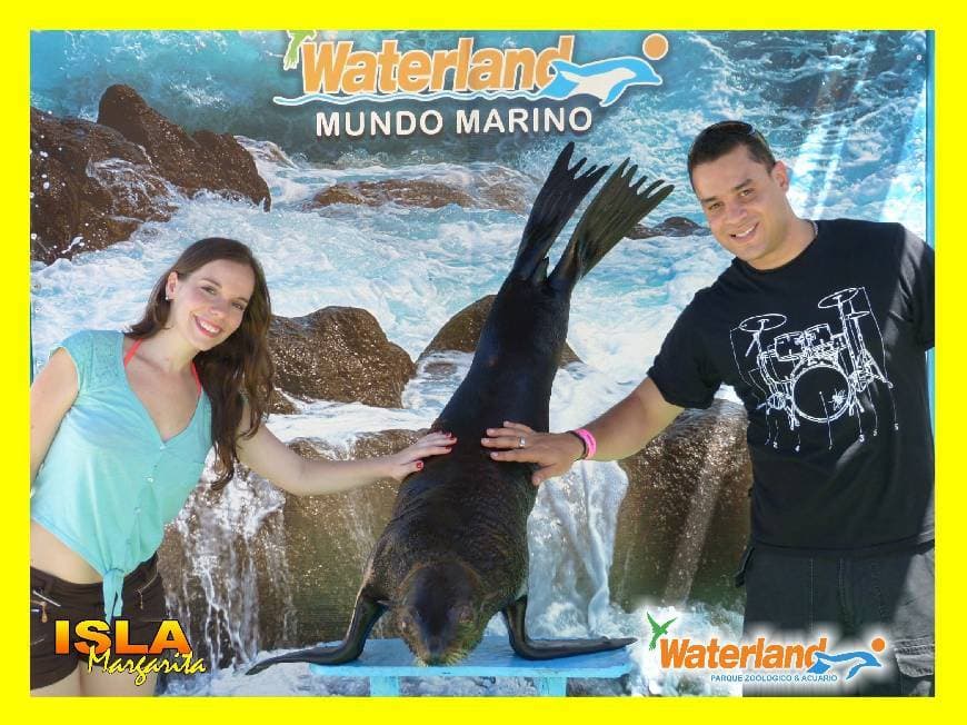 Lugar Waterland Mundo Marino