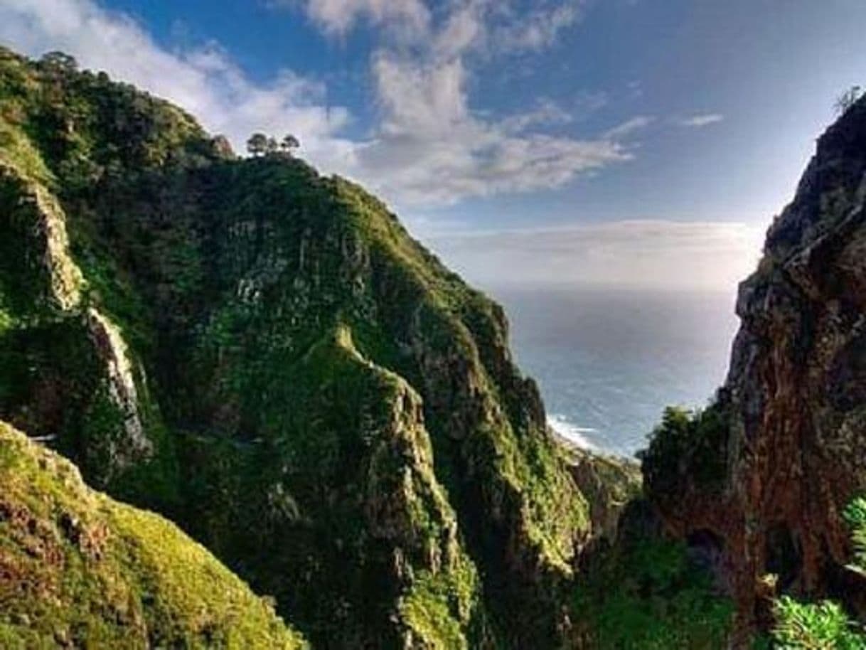 Place MADEIRA ISLAND, Laurishouse