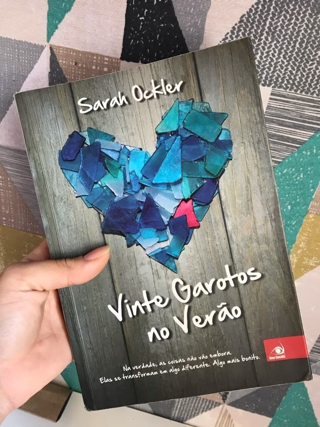 Book Vinte garotos no verão 