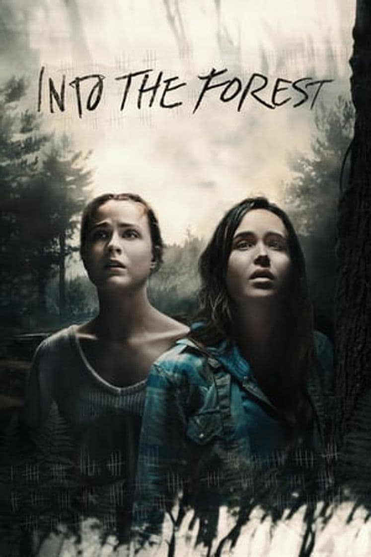 Película Into the Forest