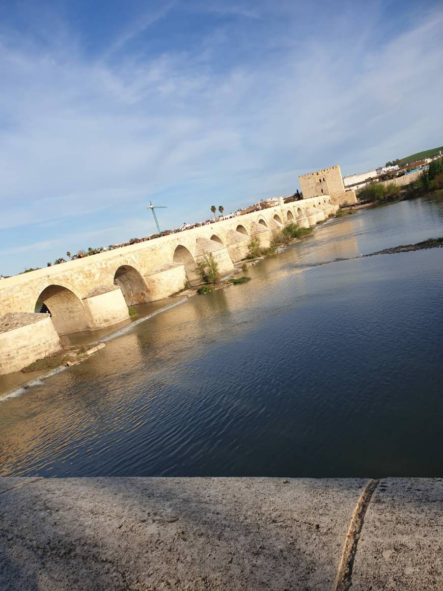 Place Puente Romano de Córdoba