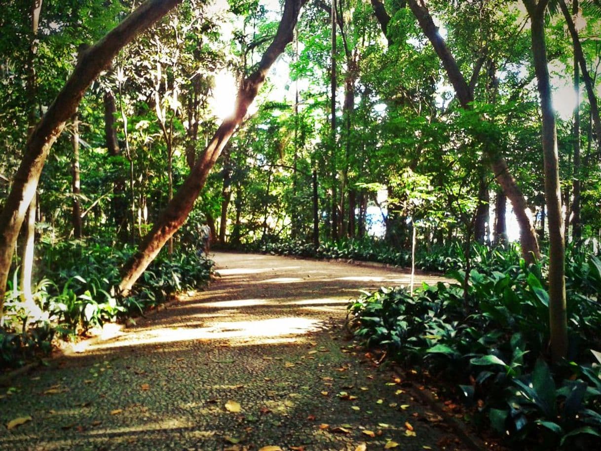 Lugar Trianon Park