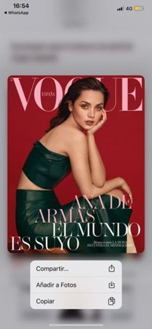 Product VOGUE ABRIL