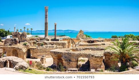 Lugar Ruines de Carthage