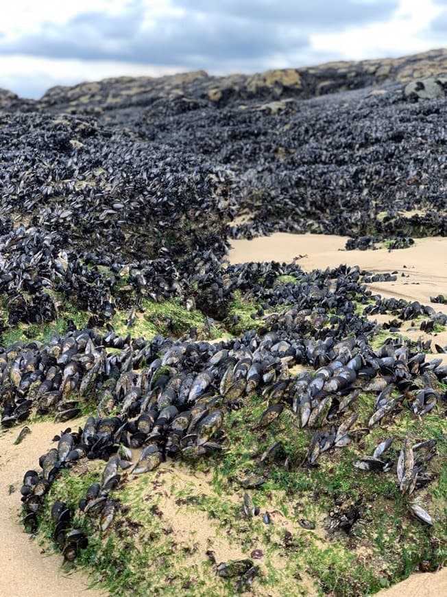 Place Corrubedo