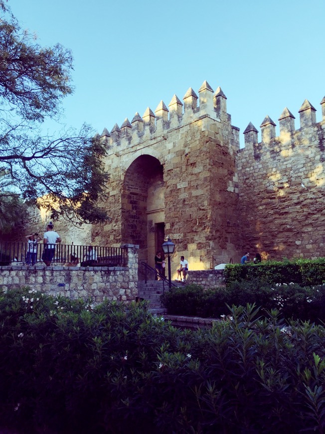 Place Mezquita-Catedral de Córdoba