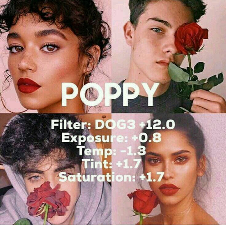 Fashion Poppy🌷❤