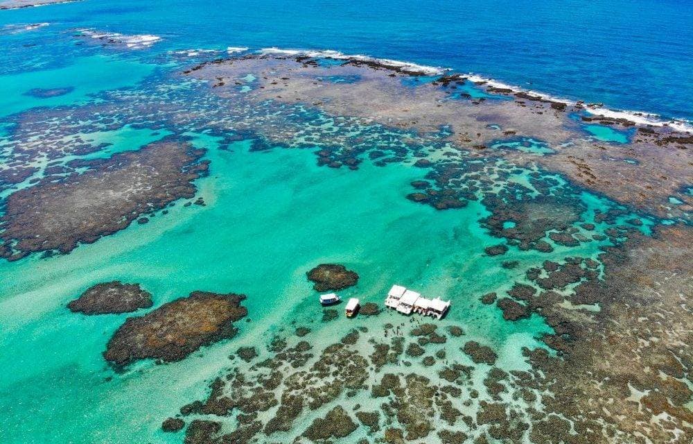 Lugar Piscinas Naturais de Maragogi