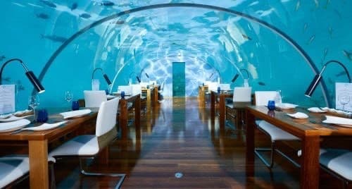 Restaurants ithaa undersea restaurant