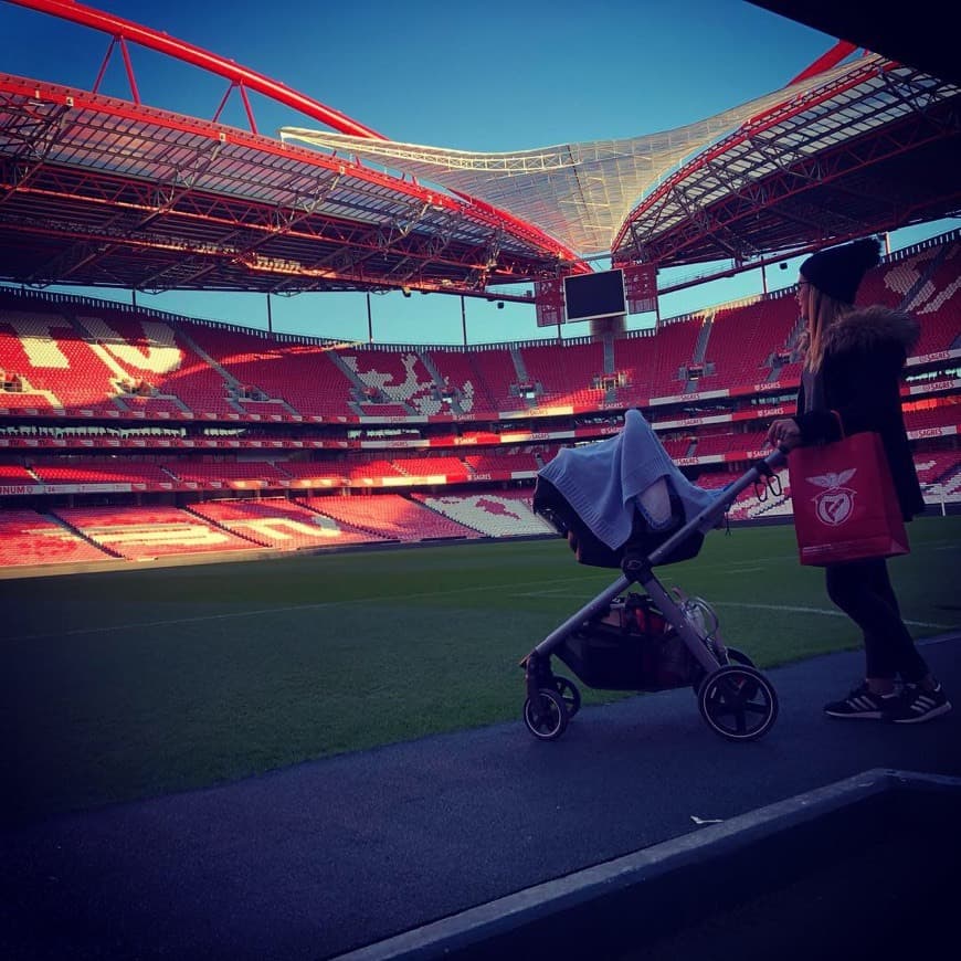 Place Estádio Sport Lisboa e Benfica