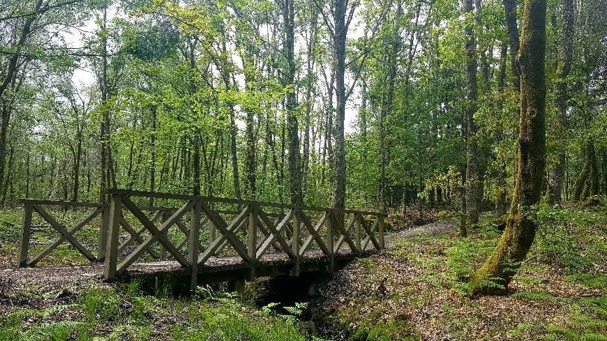 Place Parque Biológico da Serra das Meadas - Lamego