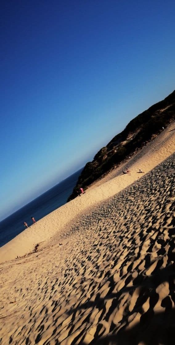 Place Playa de Bolonia