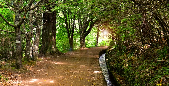 Place Levada do Caldeirão Verde