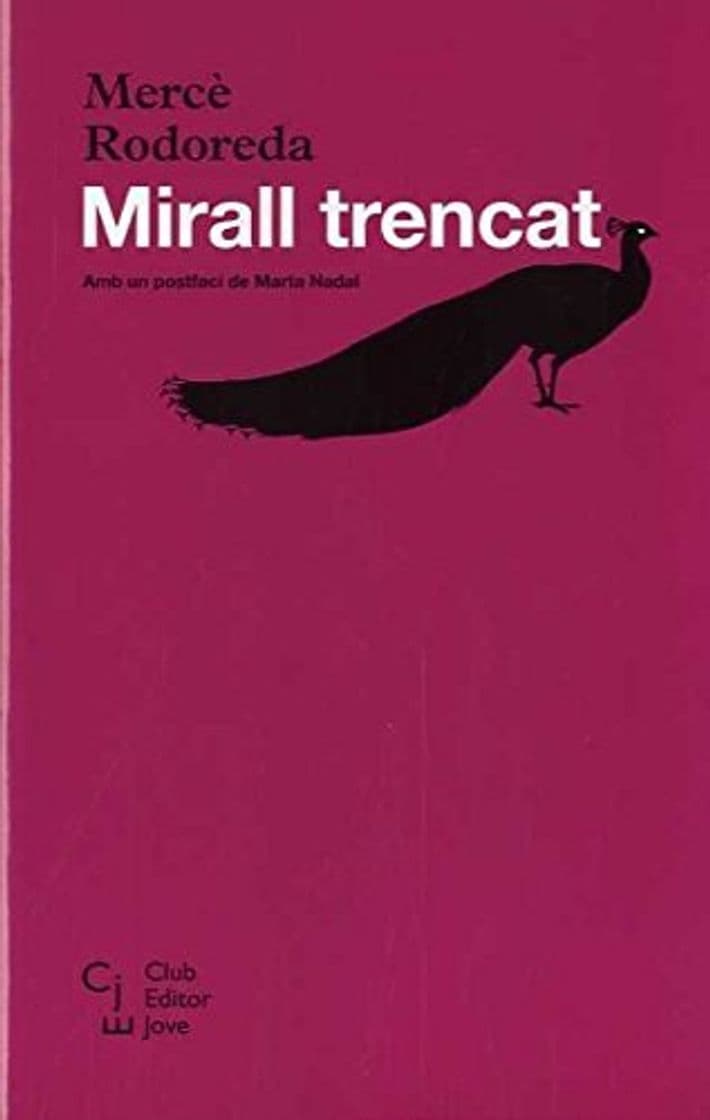 Book Mirall Trencat