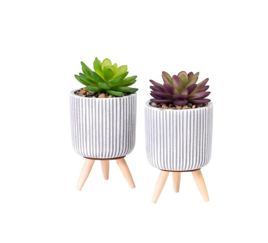 Producto Plantinhas decorativas