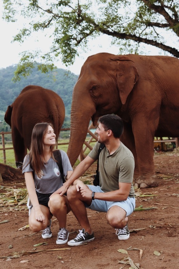 Moda Elefanth Nature Park (Chiang Mai)