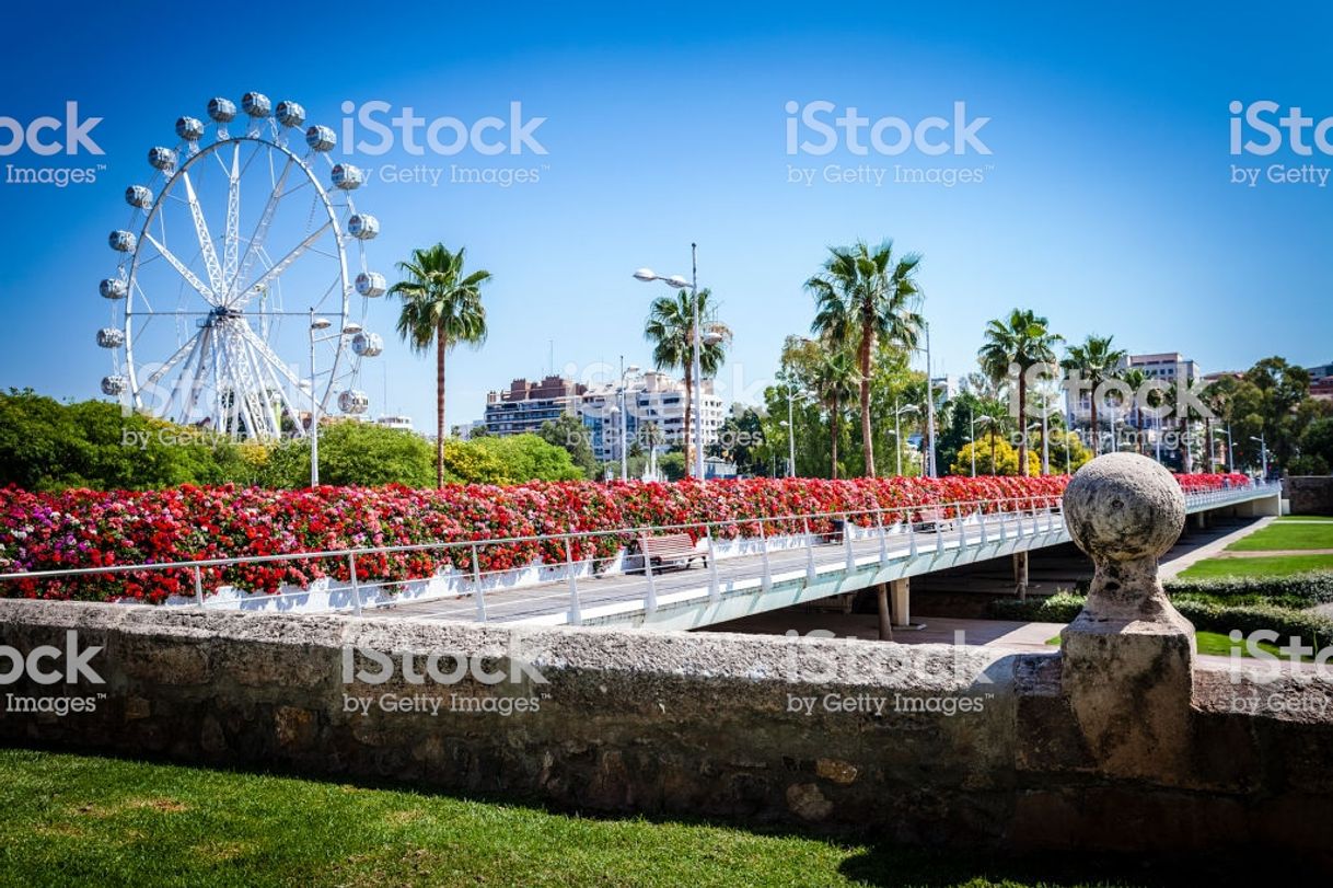 Place Puente de las Flores