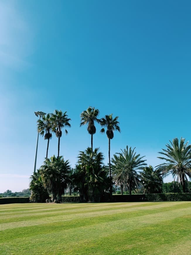 Place Costa Ballena Ocean Golf Club