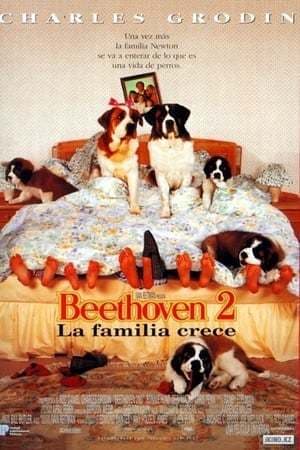 Movie Beethoven's 2nd