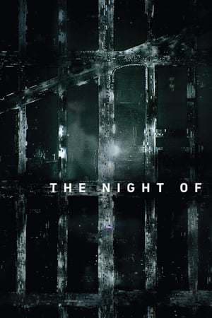 Serie The Night Of