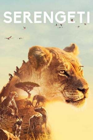 Serie Serengeti